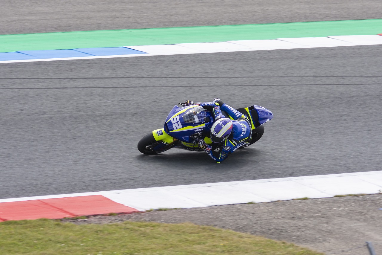 在他们的竞 在他们的竞