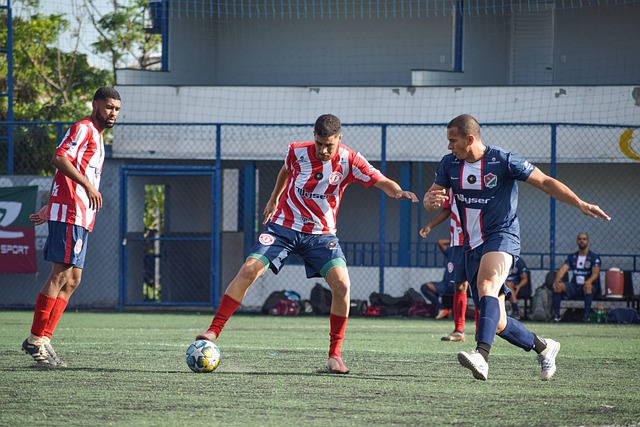 球迷与业内 球迷与业内