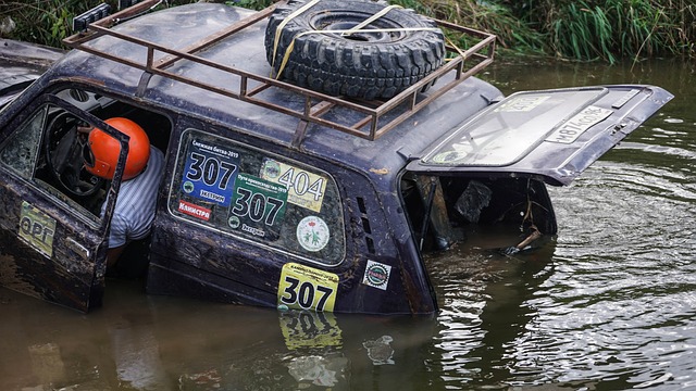 从迈克尔 从迈克尔