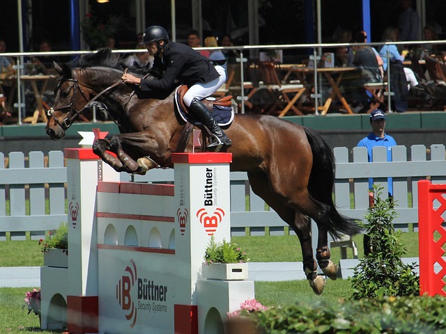 及其背后的 及其背后的