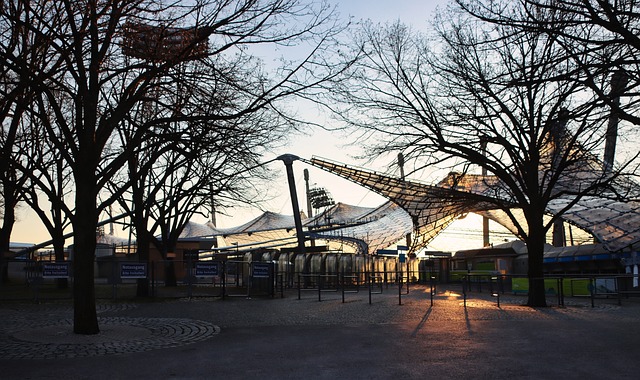 教练们专业 教练们专业