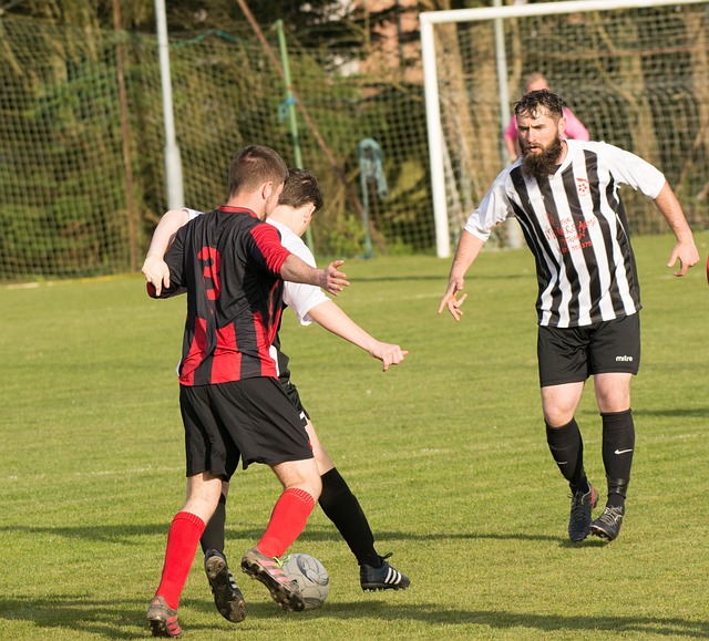 岸球隊的賽 岸球隊的賽